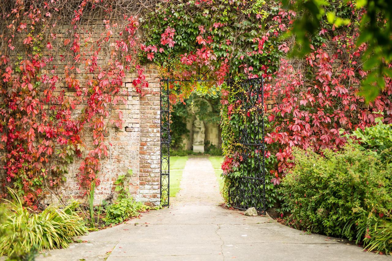 Eastwell Manor, Champneys Hotel & Spa Άσφορντ Εξωτερικό φωτογραφία